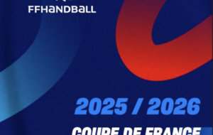 Coupe de France Départementale &amp; Régionale Féminine/Masculine - 1/4 et 1/2 Finales de zone